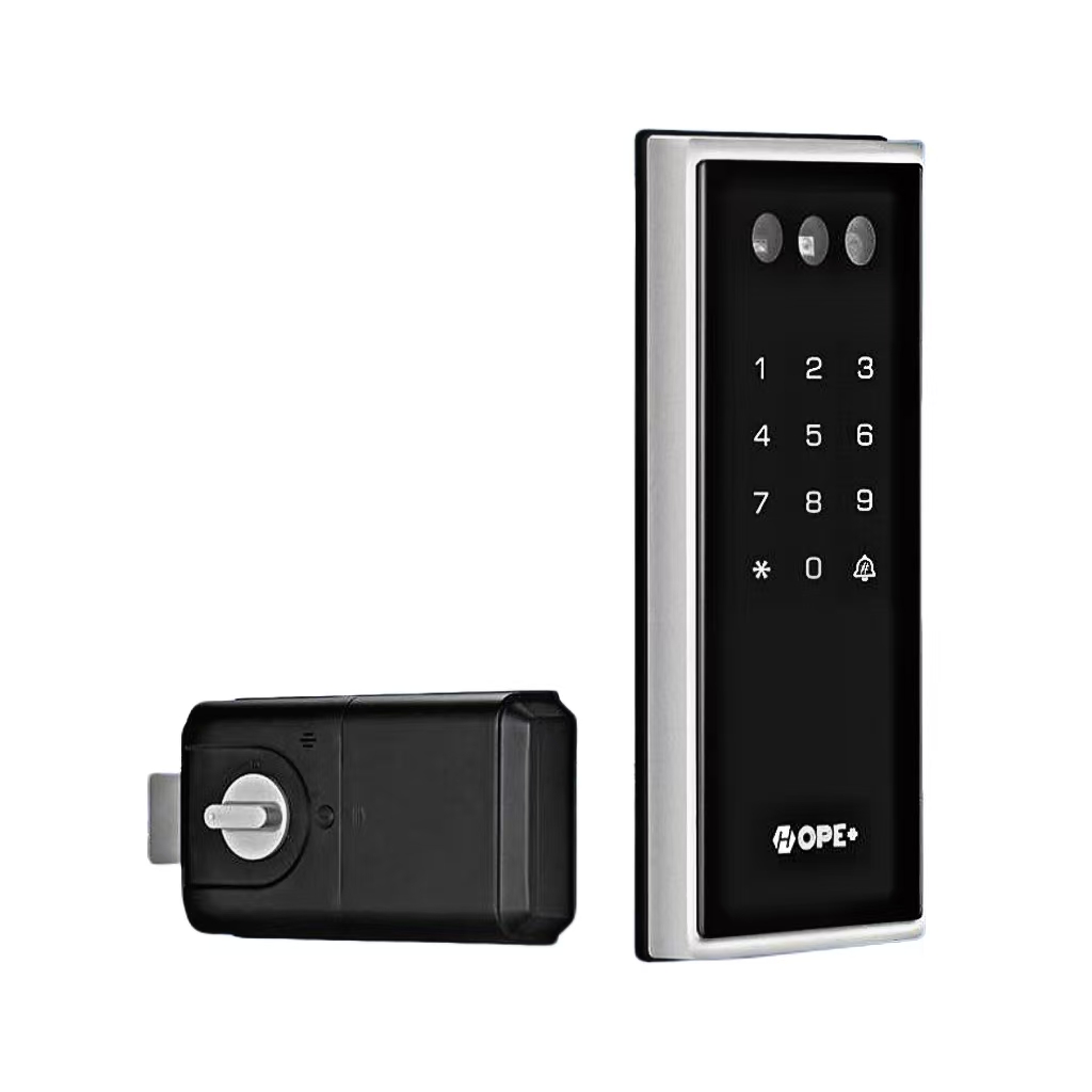 Z6000 3D Face Palm Vein Smart Lock