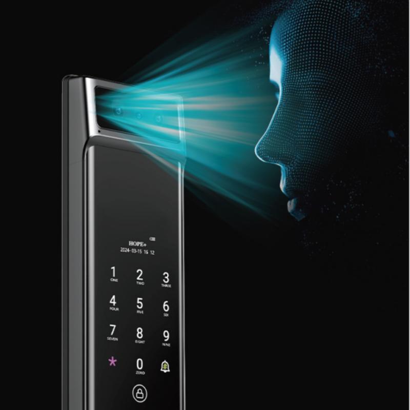 Biometric intelligent door lock